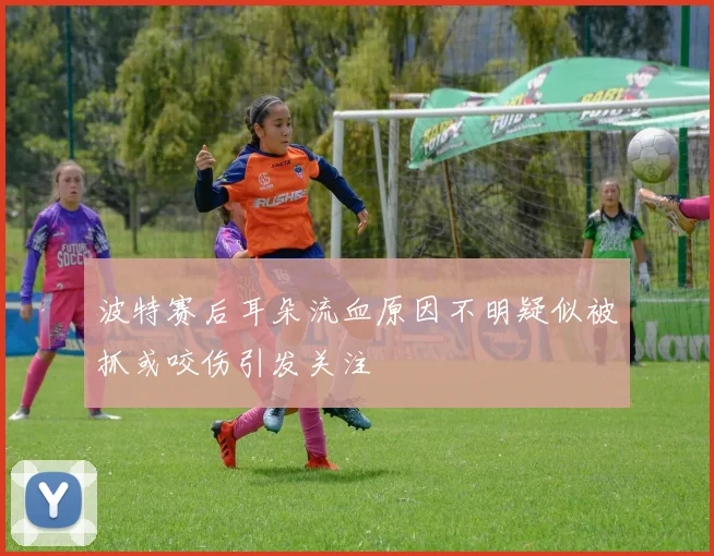 波特赛后耳朵流血原因不明疑似被抓或咬伤引发关注