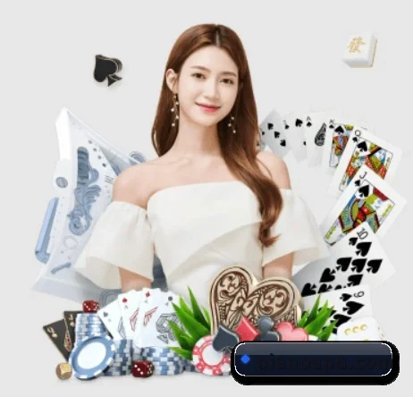 星空网官网登录入口 APP 界面
